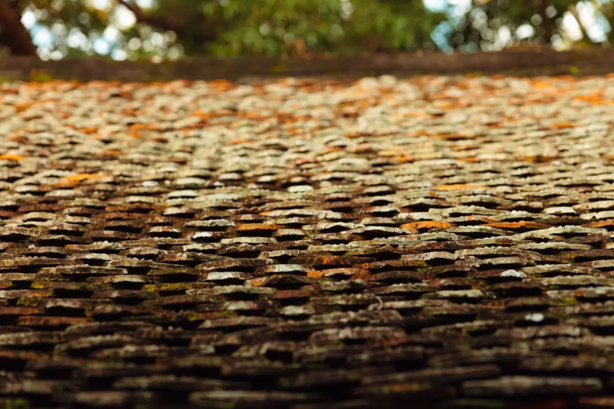 Moss growing on an aging asphalt shingle roof in Missoula, MT